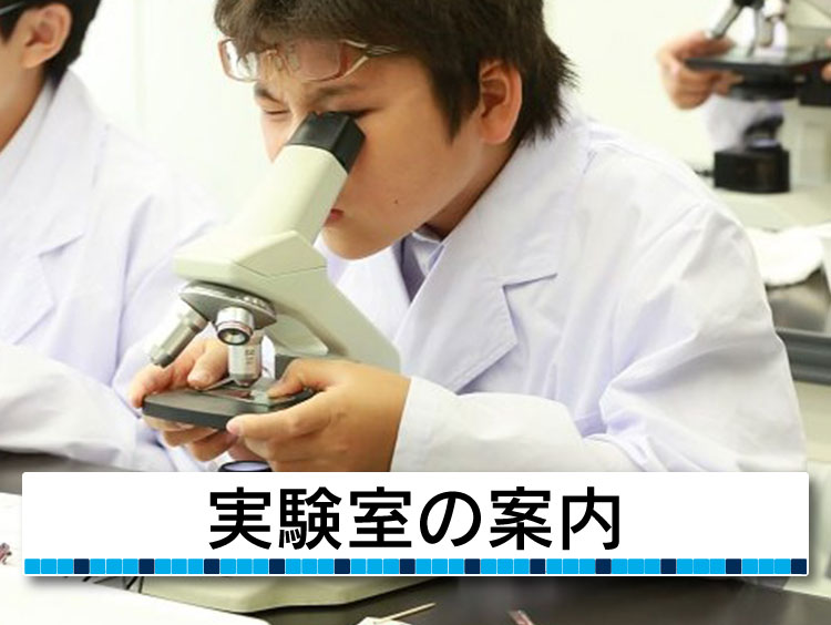 充実の実験室設備