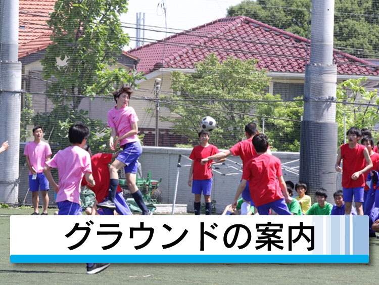 緑の映えるグラウンド